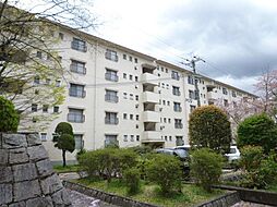 金剛第三住宅　224棟