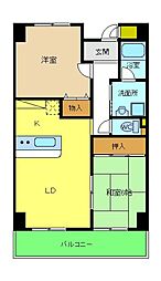 ガランテ・アベニダ