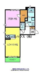 Ｌｕｎａ　ｓｔｅｌｌａ