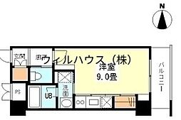 コプリー　キタハナダ