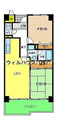コートグレース 304