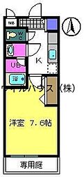 コスタルーチェ 211