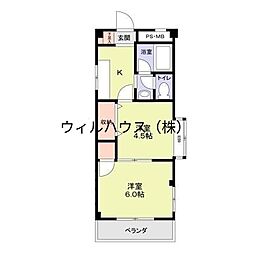 グレイス白鷺