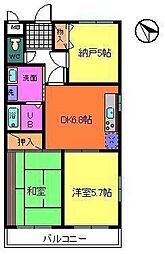 プリモディーネ高石