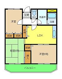 ジェントリーＴ・Ｍ・Ｙ