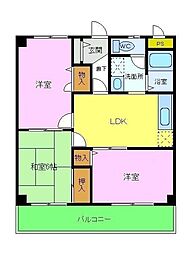 Ｓｅｌｌｅｙ’ｓ金剛