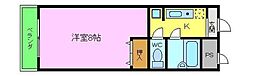 ＩＳＳＡ　ＣＡＳＡ