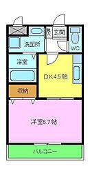 ＢＥＬＬ　ＭＡＩＳＯＮ・ゆう