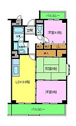 ルミエールイズミ