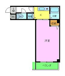 メープルコート