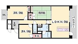 アゴラオーキッド富永