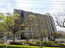 ドルミハイツB棟