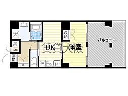 SURF ISLAND SAN SEBASTIAN