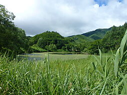 耶麻郡北塩原村大字桧原字甚九郎沢山の土地