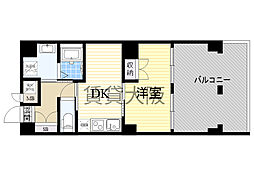 SURF ISLAND SAN SEBASTIAN