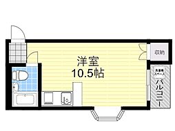ゼクシブ池田綾羽