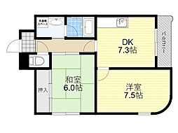 シロハイヌ姫里2