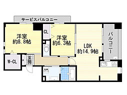シェーンブルン羽鷹