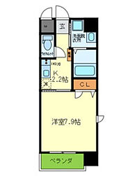 GLORYKISERA(グローリーキセラ)