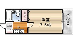 ビーナスムーン