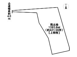 岐阜市御望　建築条件なし土地