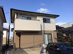 パーシモン新涯