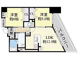 シェーンブルン羽鷹
