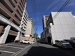 PHALEX(ファレックス) 901
