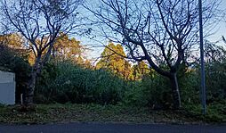 内海土地