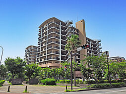 よこすか海辺ニュータウンソフィアシンシティ 812