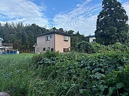 山武郡横芝光町新島　土地