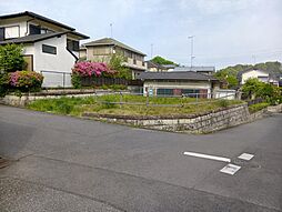 新木土地