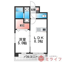 カウニス巽中