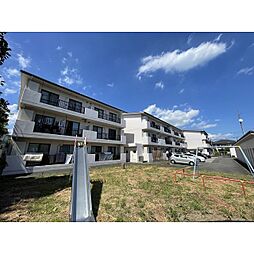 モンテローザ 307