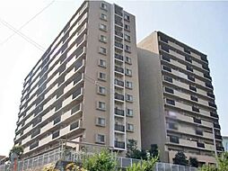 PET可 ウィズ勝田台