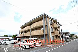 ケリスデール 101