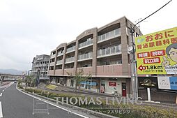 クアトロ 201