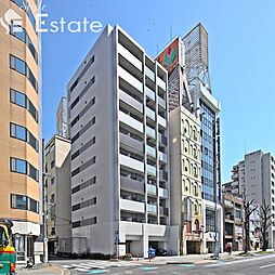 アモン リオ ブランシュ 203