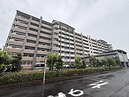 バンベール・ラフィネ道徳 508