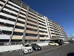 バンベール・ラフィネ道徳 805