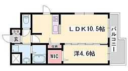 コンセールオギュウ