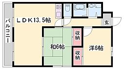 サンセベリア大津