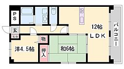 ファルネーゼ鵤