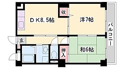 ピュア　エレガンス