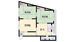 ANGELO白国