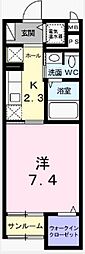 ワイズ　オブリガート