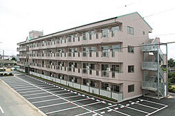 アーバニズムＭ１１