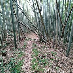 木津川市加茂町大野西高塚の土地