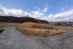 木津川市加茂町大野大野