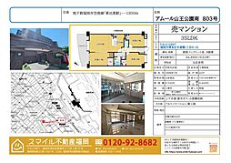 アムール山王公園南 803